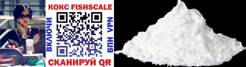 Купить закладки  Протвино  Кокаин Эквадор 